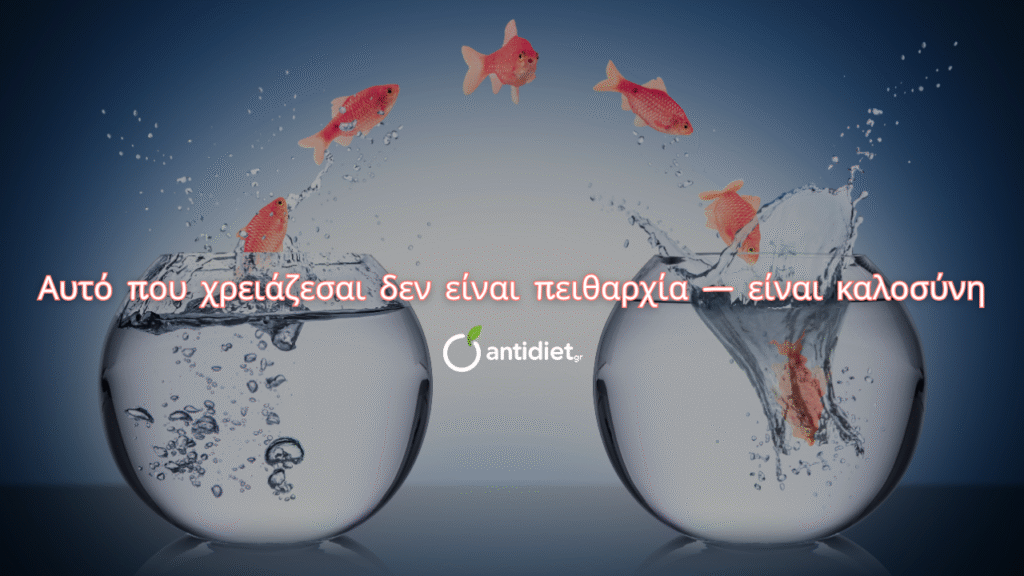 κουλτούρα της δίαιτας και υγεία - antidiet.gr κουλτούρα της δίαιτας και υγεία