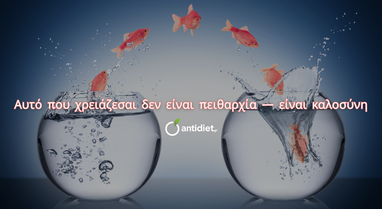 Μηνιαίο πακέτο (αν θες να το δεις πιο σοβαρά – 100€)